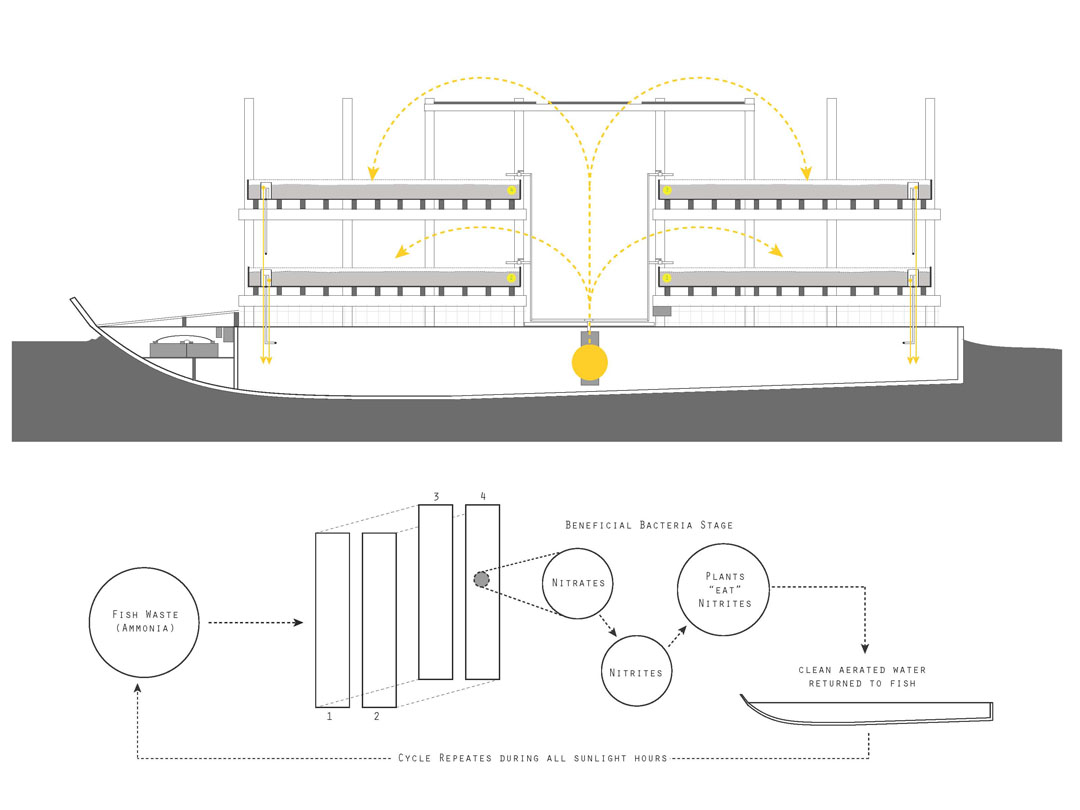  implement a solar-powered aquaponic fish farm and vegetable garden